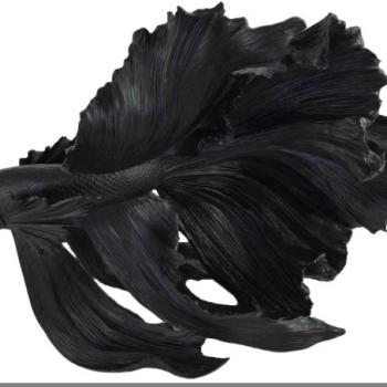 CROWNTAIL fekete 3d hal dekoráció 65cm kép