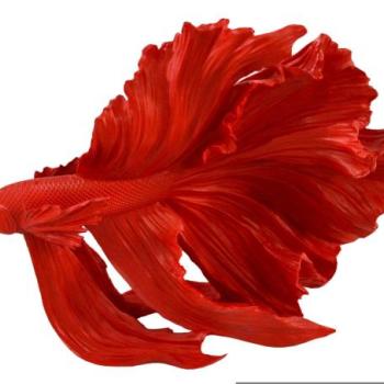 CROWNTAIL piros 3d hal dekoráció 35cm kép