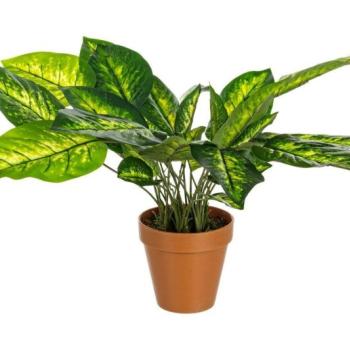 DIEFFENBACHIA zöld műanyag művirág 45 cm kép