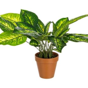 DIEFFENBACHIA zöld műanyag művirág 45cm kép