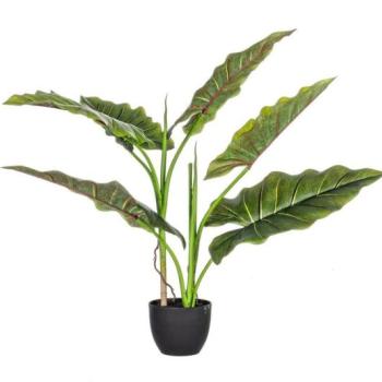 DIEFFENBACHIA zöld művirág 78 cm kép