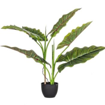DIEFFENBACHIA zöld művirág 78cm kép