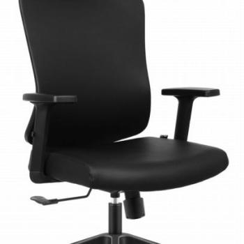 Ergonomikus irodai szék HC-1041 - fekete, állítható fejtámlával és deréktámasszal kép
