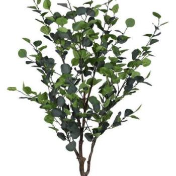 EUCALYPTUS zöld művirág kép