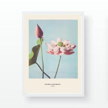 Falikép, lótuszvirág, rózsaszín - zöld - sárga, 55x75 cm kép