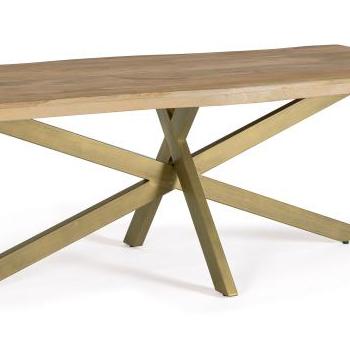 JAIDEV mangófa asztal 220 x 100cm kép