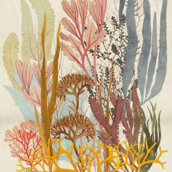 Korallokat ábrázoló tapéta, 200x250 cm, sárga - bézs - piros - kép