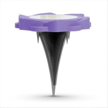 LED-es leszúrható szolár lámpa – lila – hidegfehér – 11,5 x 2,3 cm kép