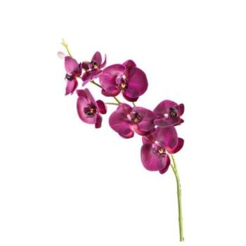 LEONARDO FIORE orchidea 85cm lila kép