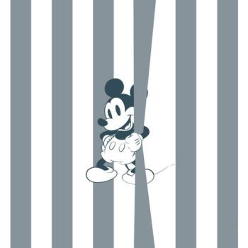 Mickey egér kapaszkodik tapéta, 200x250 cm, szürke - fehér - COUCOU MICKEY kép