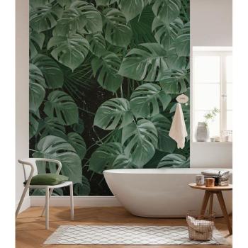 Monstera növény mintás tapéta, 200x250 cm, zöld - MONSTERA kép