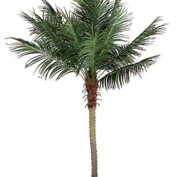 PALMA barna műanyag dekoráció kép