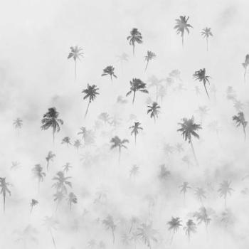 Pálmafáka ábrázoló tapéta, 300x250 cm, szürke - BROUILLARD kép