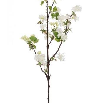 PEAR körtefa ág fehér virágokkal 94cm kép