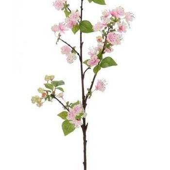 PEAR körtefa ág rózsaszín virágokkal 94cm kép