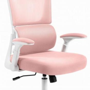 Rózsaszín-fehér irodai szék HC-1011 kép
