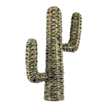 SAGUARO II zöld tengerifű dísztárgy kép