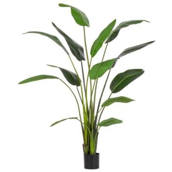 STERILIZIA művirág 235cm kép