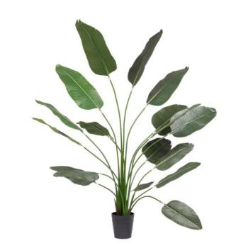 STRELITZIA zöld műanyag művirág kép