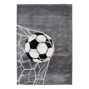 Szőnyeg, gól, ezüst - szürke, 160x230 cm - CHAMPION kép