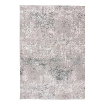 Szőnyeg, kopott mintás, ezüst, 160x230 cm - MARIBOR kép