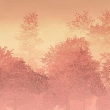 Vörös színű erdőt ábrázoló tapéta, naplementében, 400x250 cm, narancssárga - piros - sárga - KALIMA kép