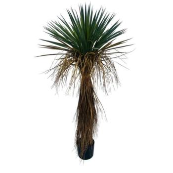 YUCCA sárga műanyag művirág kép